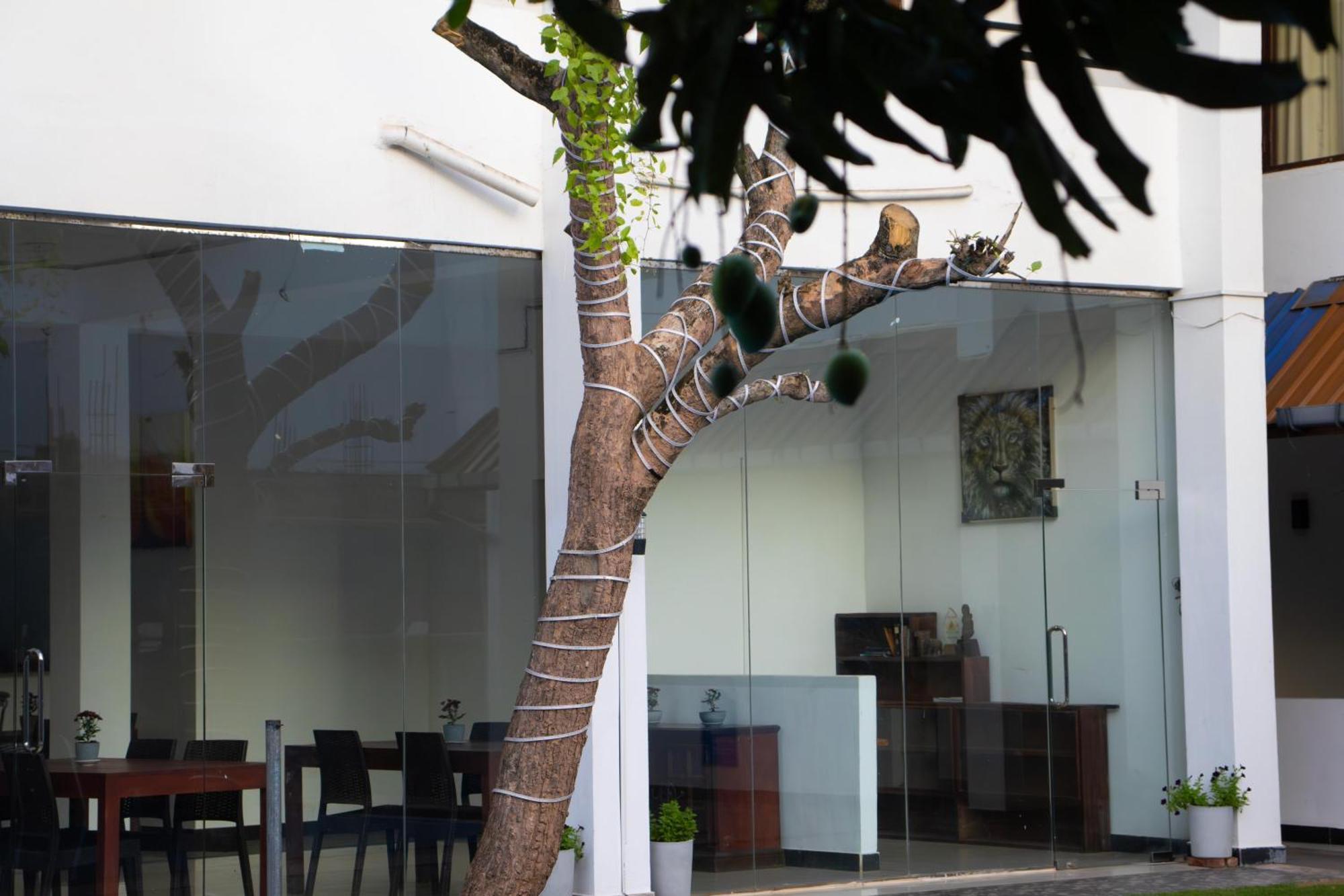 Woodnest Windmill Beach Hotel Negombo Exterior photo